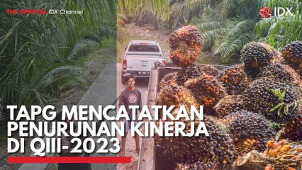 TAPG Mencatatkan Penurunan Kinerja di QIII-2023