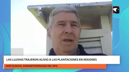 Las lluvias trajeron alivio a las plantaciones en misiones