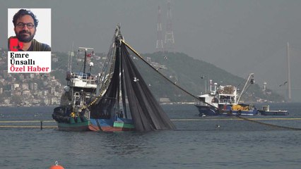 Endüstriyel tekneler İstanbul Boğaz’daki balıkçılığı yok ediyor: Bir gecede 700 ton balık avlayabiliyorlar | Haber: Emre Ünsallı