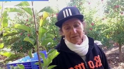 Angelica Cal? Livn?, l'italo-israeliana rimasta nel kibbutz