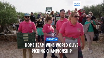 Teams from across the globe compete in Croatia to be crowned world’s best olive pickers
