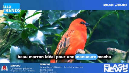 Mocha nails : les secrets pour recréer la manucure d'Hailey Bieber !