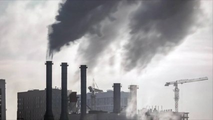 Des scientifiques lient l'exposition à la pollution atmosphérique et la puberté prématurée