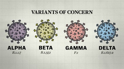 Why so many Covid-19 variants are showing up now