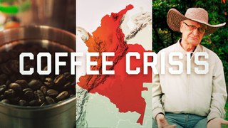 The global coffee crisis is coming