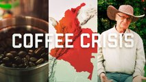 The global coffee crisis is coming