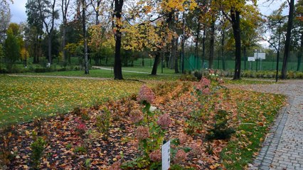 Nowy Sacz - problem z Parkiem Strzeleckim