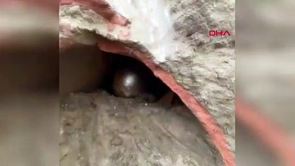 Termal ilçesinde Roma dönemine ait küp mezar bulundu