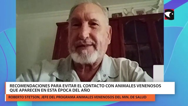 Recomendaciones para evitar el contacto con animales venenosos que aparecen en esta época del año