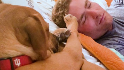 Dog Who Nipped Is The Best Boy For His Baby Sister