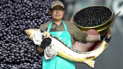 How Some of Korea's Best Caviar is Produced