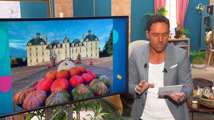 Local Génial - 26/10/2023 - Partie 1