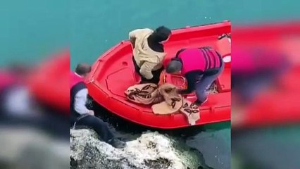 Tentative de suicide suite à un désaccord familial