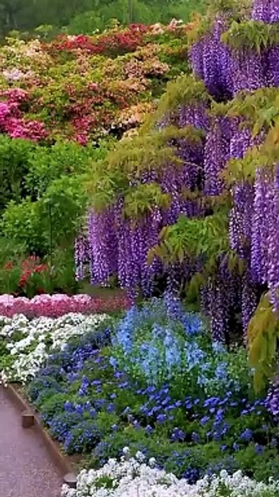 Ashikaga Flower Park, Japan