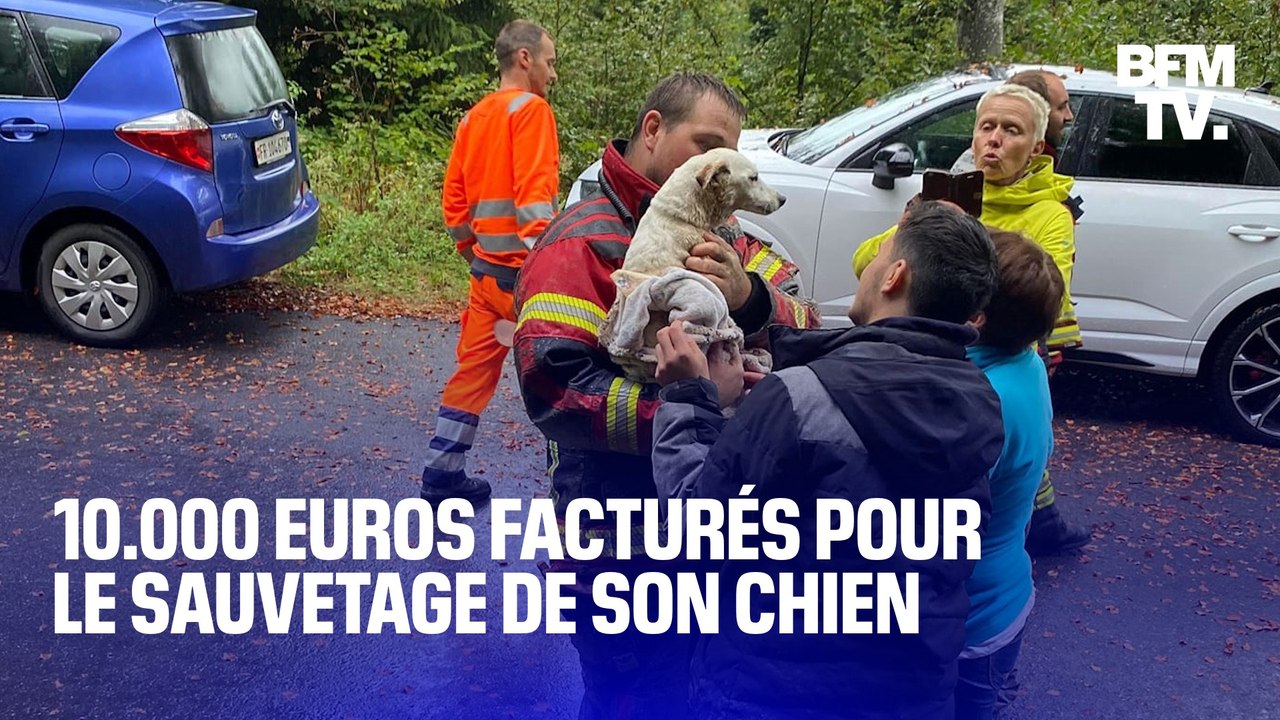 En Suisse, les pompiers lui facturent 10.000 euros pour sauver son chien