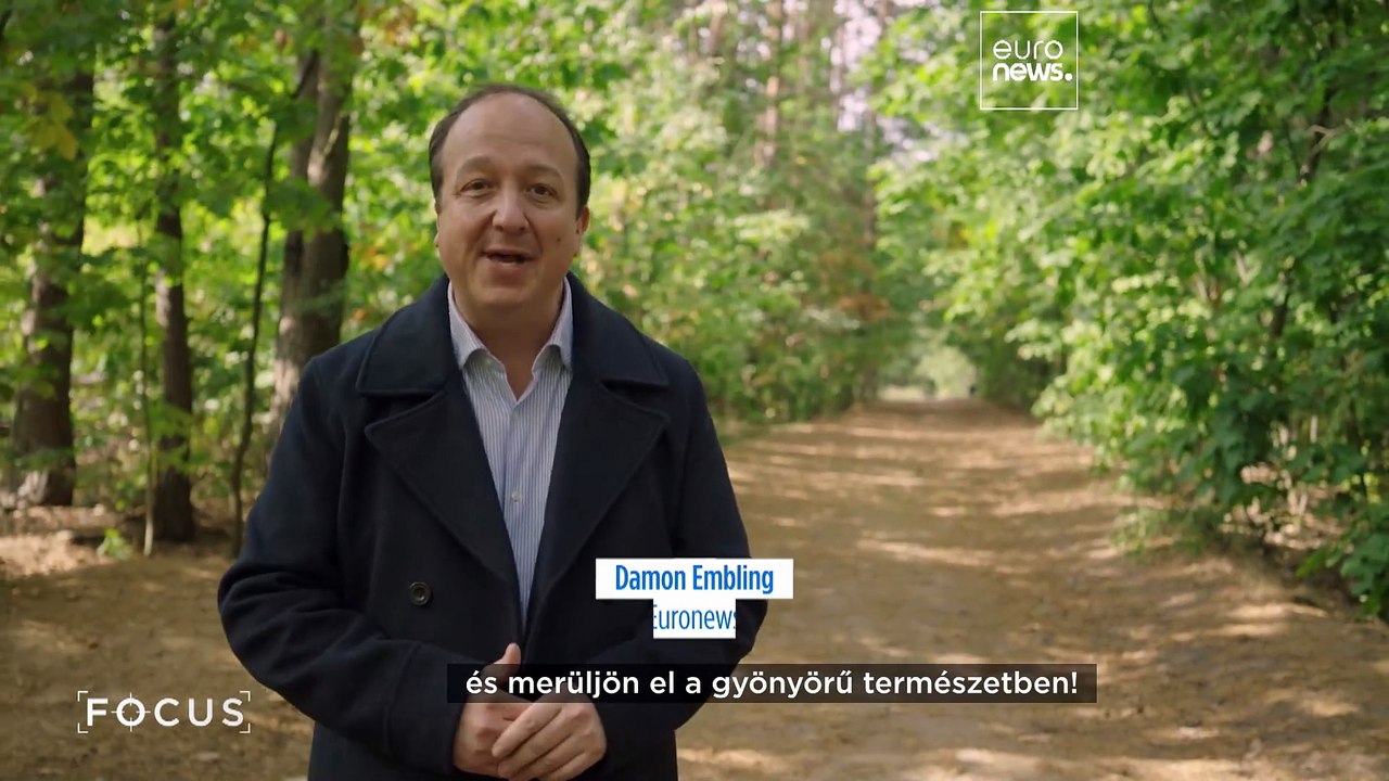 Lengyelországban Szilícium-erdőt építenek, nem Szilícium-völgyet