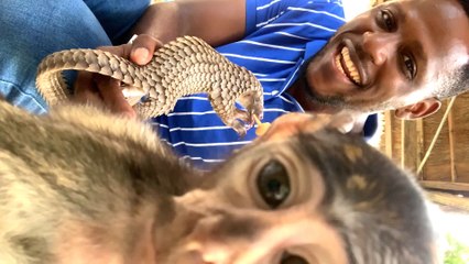 Baby Monkey Can't Stop Hugging This Baby Deer