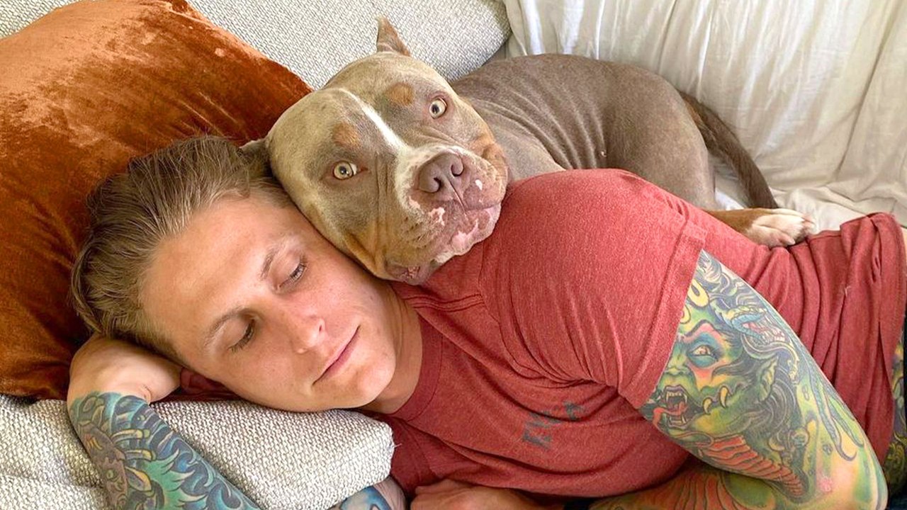 5 Reasons You'll Regret Adopting A Pittie