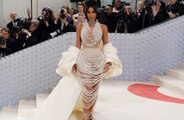 Kim Kardashian's secret Met Gala plan foiled after being attacked by Karl Lagerfeld's cat