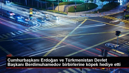 Cumhurbaşkanı Erdoğan ve Berdimuhamedov birbirlerine köpek hediye etti