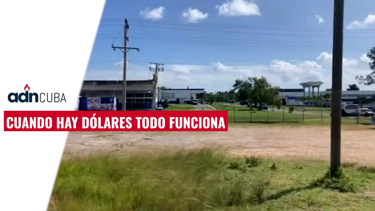 Cuando hay dólares todo funciona