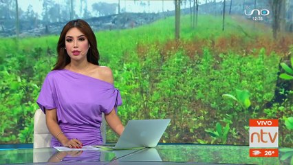 Cívicos exigen sanciones tras el hallazgo de las plantaciones de coca en el parque Amboró