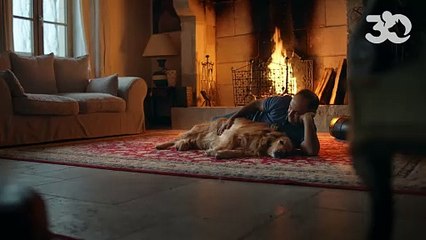 L'organisme l'a dévoilé ce jeudi 26 octobre sur les réseaux sociauxLe nouveau spot publicitaire de la Fondation 30 millions d'amis, avec la voix de Pomme reprenant le titre "Love Me Tender" d'Elvis Presley