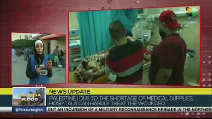 After 20 days of Israel's bombardment of Palestine, the situation is already catastrophic.