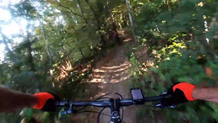 VTT autour de St Julien-de-Ratz ISERE