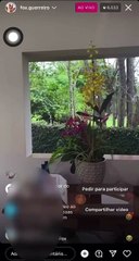 Live de velório de cachorro que perdeu o focinho marca número surpreendente; assista