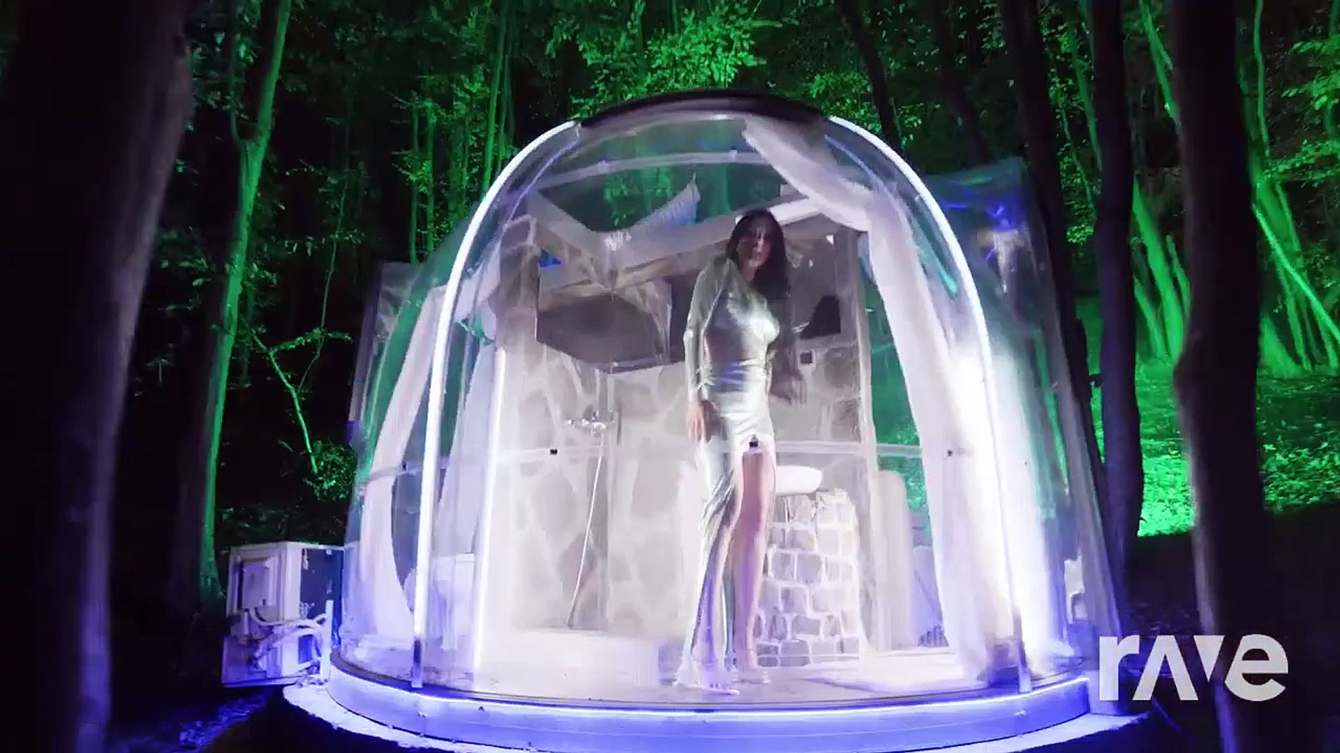 ⁣black cat, wild cat