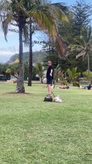 Dogs Dragged Through Grass