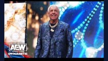 The Nature Boy RIC FLAIR in AEW?! An ICONIC gift for the LEGANDARY STING! 10/25/23, AEW Dynamite Highlights