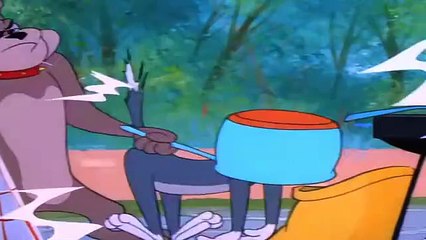 Tom And Jerry - 104 - Barbecue Brawl (1956)