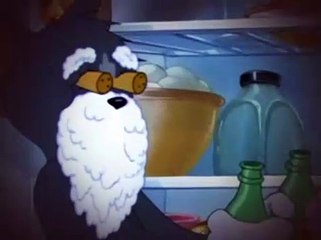 Tom and Jerry 028 Part Time Pal [1947]