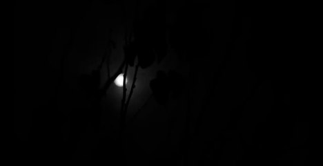 LA POSESIÓN DE LA FAMILIA GARCÍA (Y OTROS RELATOS)