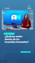 ¿Quiénes están detrás de los incendios forestales?