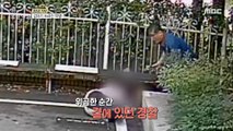 [HOT] A student who suddenly collapsed?!,생방송 오늘 아침 231027