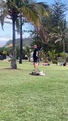 Dogs Dragged Through Grass