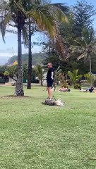 Dogs Dragged Through Grass