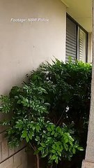 Gun, drugs, and $200,000 cash seized in Maitland, NSW area raids