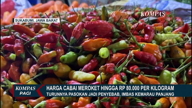 Imbas Kemarau Panjang, Harga Cabai Rawit di Sukabumi Melonjak Tinggi