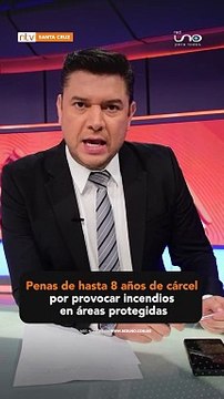 Penas de hasta 8 años de cárcel por provocar incendios en áreas protegidas
