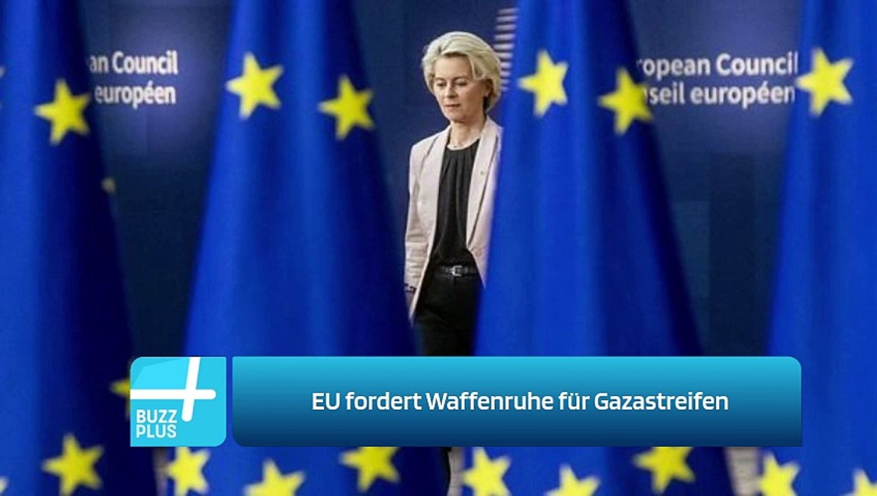 EU fordert Waffenruhe für Gazastreifen