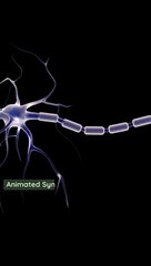 Finding Your Cardio Sweet Spot