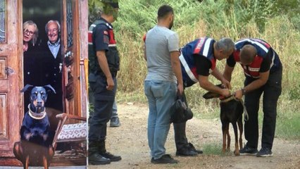 Korhan Berzeg’i arama çalışmaları sonlandırıldı