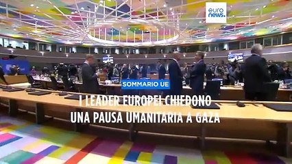 "Preoccupazione per la crisi a Gaza": il Consiglio europeo chiede una "pausa umanitaria"