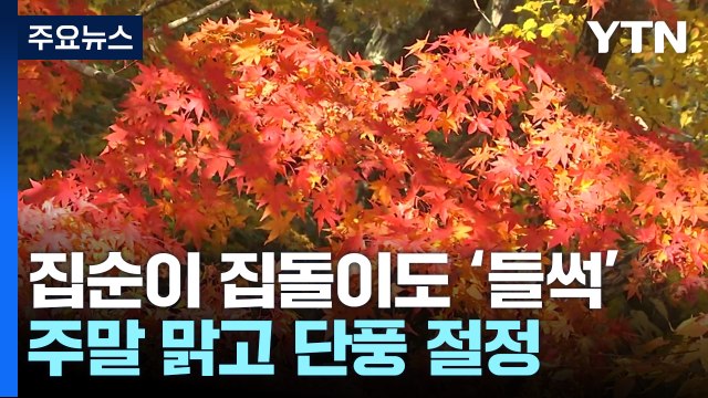 [날씨] 찬 바람에 초미세먼지 해소...주말 맑고 내륙 단풍 절정 / YTN