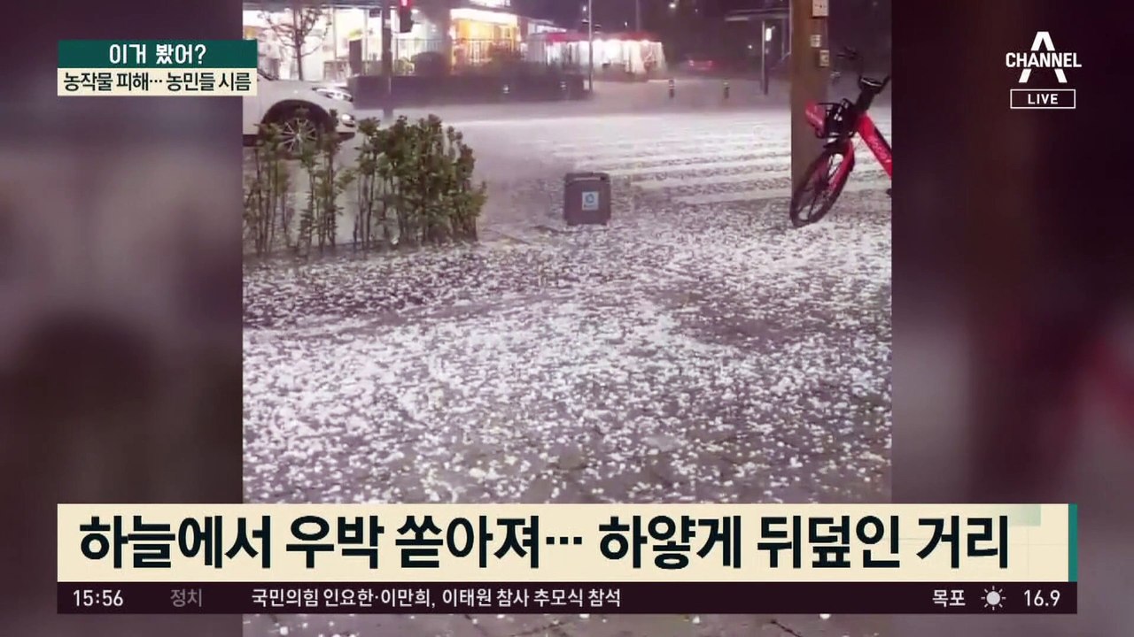 경기 일대 동전 크기 우박…농작물 피해에 농민들 시름