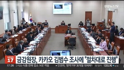 금감원장, 카카오 김범수 조사에 "절차대로 진행"